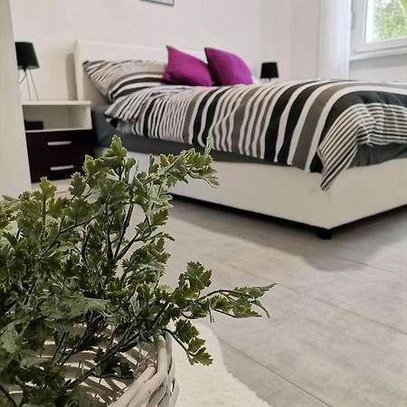 Apartman Maki Sombor Ngoại thất bức ảnh