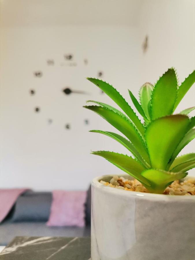 Apartman Maki Sombor Ngoại thất bức ảnh